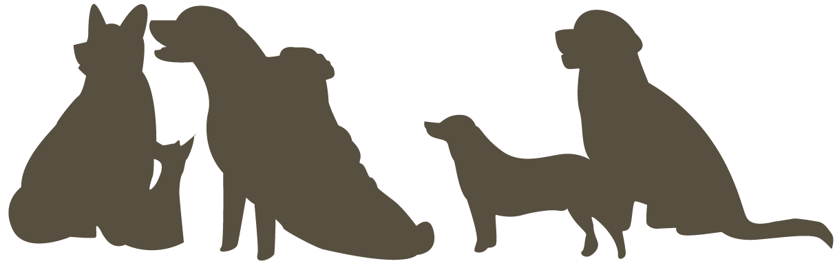 Hundebetreuung