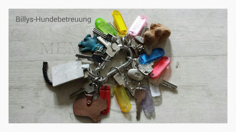 Schlüsselbund Hundesitter